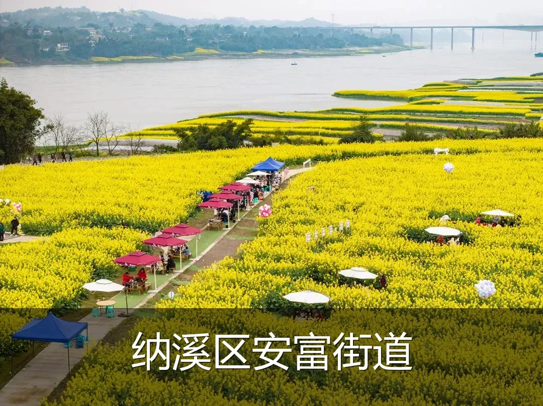 纳溪区安富街道