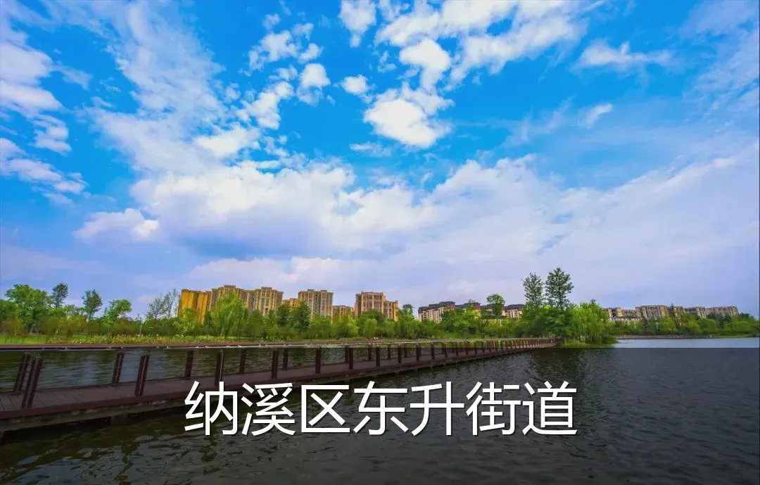 纳溪区东升街道